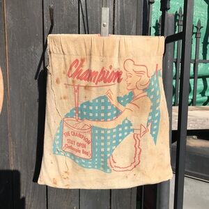 Vintage Champion stay open clothespin bag, wire hanger
